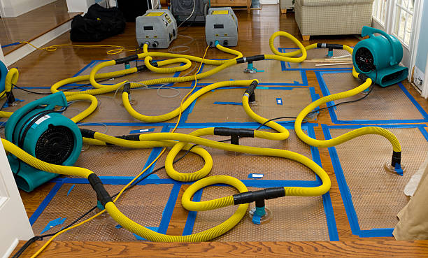 Professional Basement Flood Cleanup technician working in Kingsbury, TX